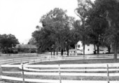 Acme Taxineon Sales, Inc. building