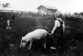 Unidentified child with pig