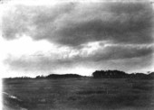 Prairies and cypress heads
