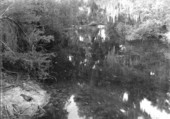 Stream