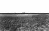Prairies