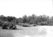 Snow scene