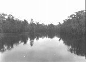 View of Wakulla River from upper bridge