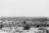 Prairie