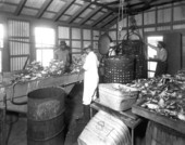 African American men processing crabs.