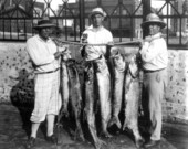 Men with catch of fish.