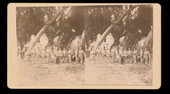 Eustis Cornet Band in Eustis Park - Eustis, Florida
