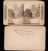 Date Palm, Mandarin, Florida.