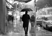 Man walking along Monroe St. on a rainy day in Tallahassee.