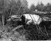 Close-up view of plane crash approximately 150' from Dale Mabry Field near Blountstown Highway - Tallahassee, Florida.