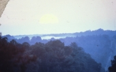 Sunrise in Tallahassee, Florida.