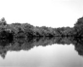 Apalachicola river.