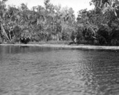 View of Homosassa River - Homosassa Springs, Florida .