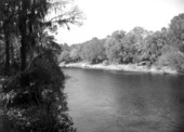 View of Suwannee River .