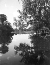 View of Cross Creek - Cross Creek, Florida