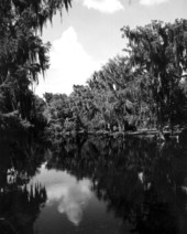 Scene at Cross Creek - Cross Creek, Florida