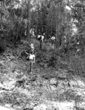 Men walk through the woods .
