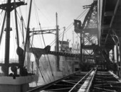 The traveling tower and boom conveyor..