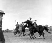Cowboys play palmetto polo - New Smyrna Beach, Florida .