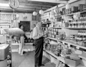 Interior of the Melbourne Village grocery store - Brevard County, Florida.