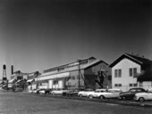 View of the Newport Industries - Pensacola, Florida .