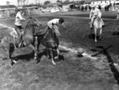 Unidentified men and horses play palmetto polo - New Smyrna Beach, Florida .