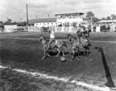 Unidentified men on horses play a game of polo - New Smyrna Beach, Florida .