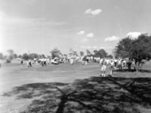 Golfers at a PGA Golf Tournament - Naples, Florida