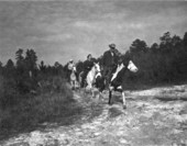 Riders on the trail - Umatilla, Florida