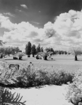 Golfers on the golf course - Hollywood, Florida