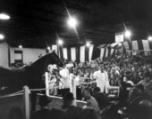 Horse auction at Hialeah Racetrack - Hialeah, Florida .