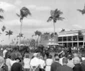 Crowd gathers around the paddock area for a horse auction at Tropical Park - Miami, Florida .