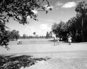 Golfers and golf carts on the golf course - Lehigh Acres, Florida