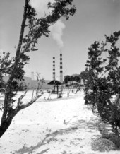 Turkey Point atomic energy power plant.