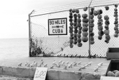 Conch shells and sponges for sale at the Southernmost Point in Key West, Florida.