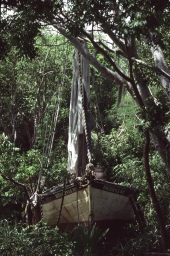 Haitian refugee boat "Dieuquivle No2" at Islamorada, Florida.