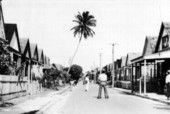 Playing "catch" on a street in Key West, Florida..