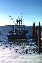 Shrimp boat leaving the docks - Ozona, Florida.
