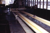 View of conveyor belt at Wood's Fresh & Frozen Shrimp - Port Saint Joe, Florida.