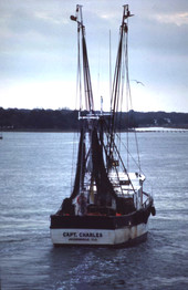 View of the shrimp boat "Capt. Charles" - Saint Augustine, Florida.