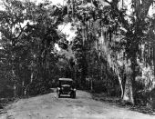 Automobile on a 'drive to golf links' - Bay County, Florida