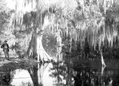 Man fishing in the quiet Prairie Creek - Alachua County, Florida
