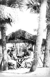 People drinking tea on the beach - Venice, Florida.