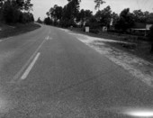 View looking down Collins Road - Jacksonville, Florida.